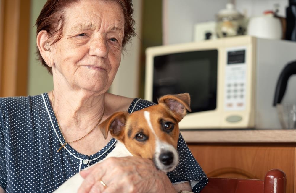 ČUVARI SRPSKOG RODA: Pet tema koje slabe našu krv i budućnost – ne daj da ti unuci postanu tuđinci!